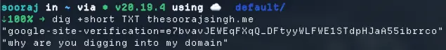 output on running dig on this domain